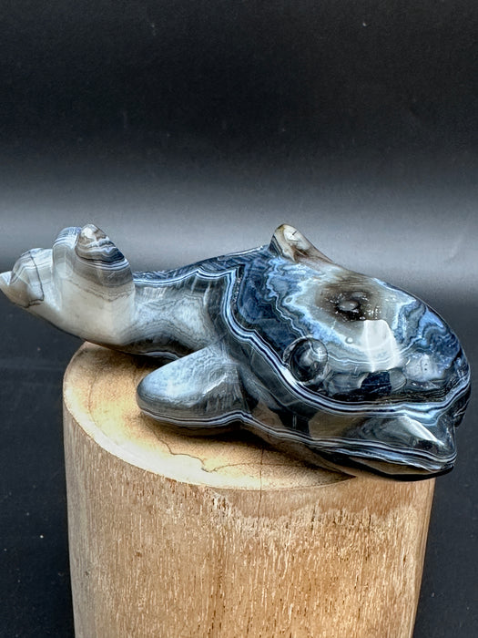 Black Agate Crystal Whale Carving