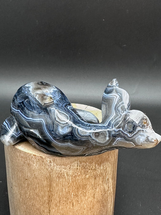 Black Agate Crystal Whale Carving