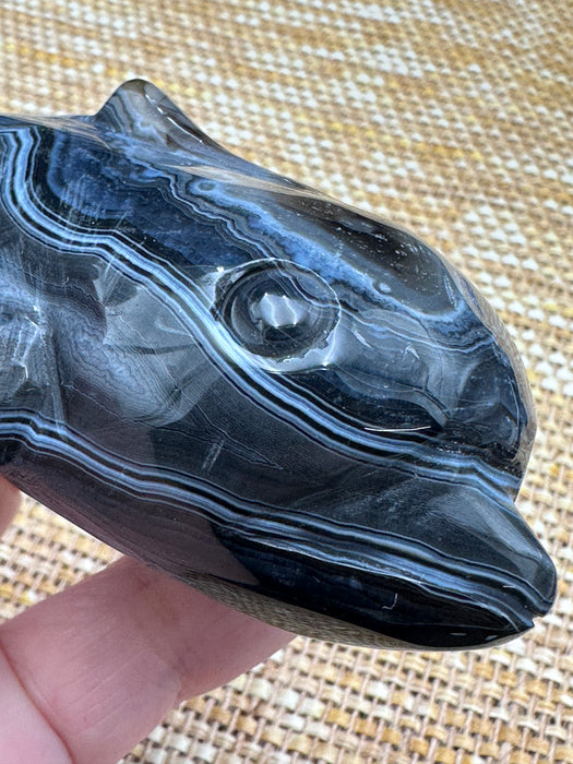 Black Agate Crystal Whale Carving