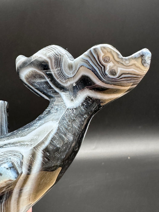 Black Agate Crystal Whale Carving