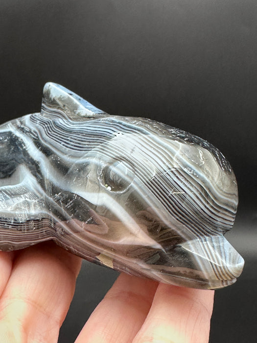 Black Agate Crystal Whale Carving
