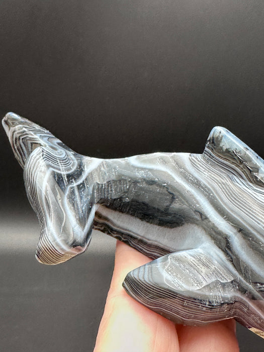 Black Agate Crystal Whale Carving