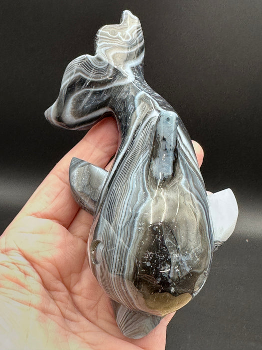 Black Agate Whale #2 - 344gm