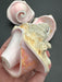 Pink Queen Conch Shell