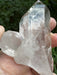 Clear Quartz Point Cluster with natural base