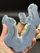 Blue Coral Jasper Slice Fossil