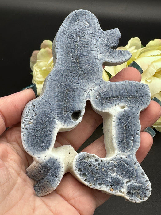Blue Coral Jasper Slice Fossil