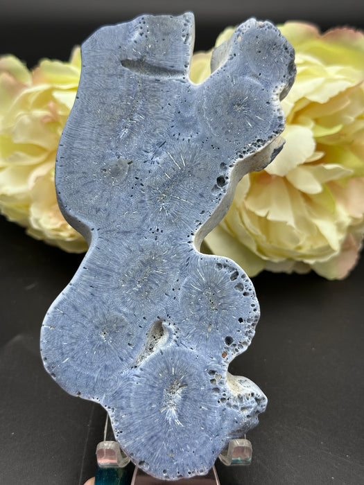 Blue Coral Jasper Slice #3