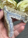 Blue Lace Agate Raw Specimen #1 - beautiful sparkling druzy