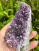 Brazil Amethyst Geode Crystal