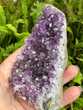 Brazil Amethyst Geode Crystal