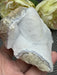 Blue Lace Agate Raw Specimen Crystal