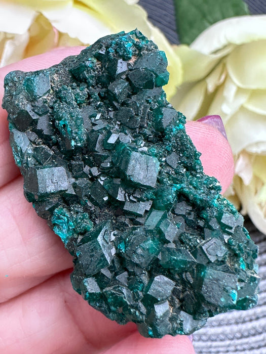 Sparkling Raw Dioptase Crystal Specimen