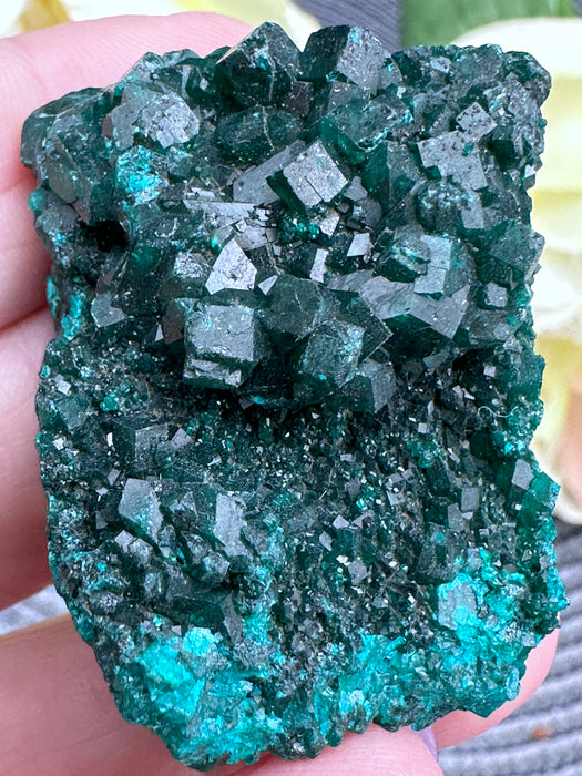 Sparkling Green Dioptase Raw Crystal Specimen