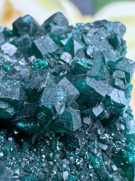 Sparkling Green Dioptase Raw Crystal Specimen