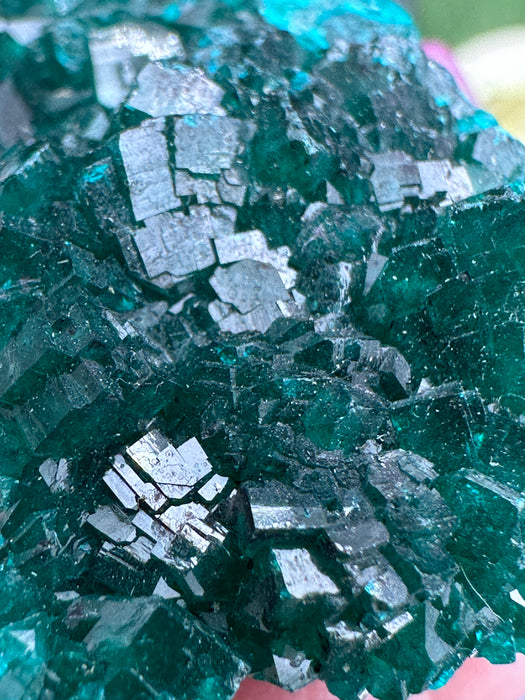 Sparkling Green Dioptase Raw Crystal Specimen