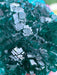 Sparkling Green Dioptase Raw Crystal Specimen