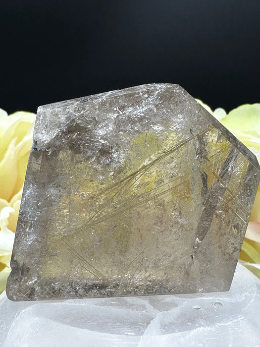Geometrically cut Gold Rutile Freeform