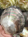 Black Mother of Pearl Shell