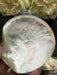 Black Mother of Pearl Shell