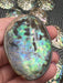 Mini Polished Abalone Paua Shells