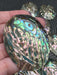 Mini Polished Abalone Paua Shells