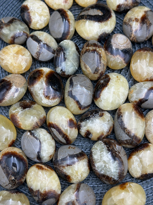 Septarian Mini Palm Stones