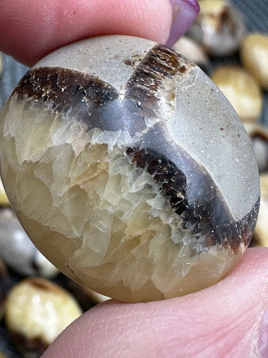 Septarian Mini Palm Stones