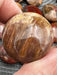 Petrified Wood Mini Palm Stone