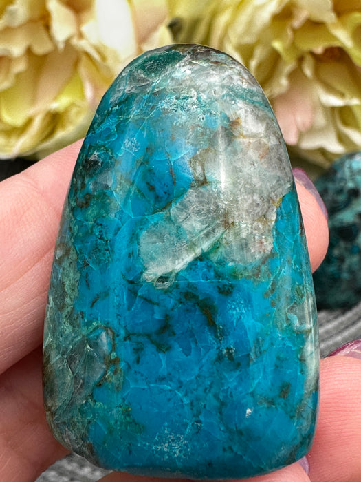 Chrysocolla Standing Freeforms - Various Options