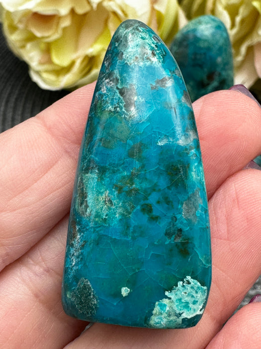 Chrysocolla Standing Freeforms - Various Options