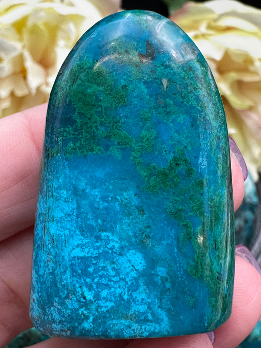 Chrysocolla Standing Freeforms - Various Options