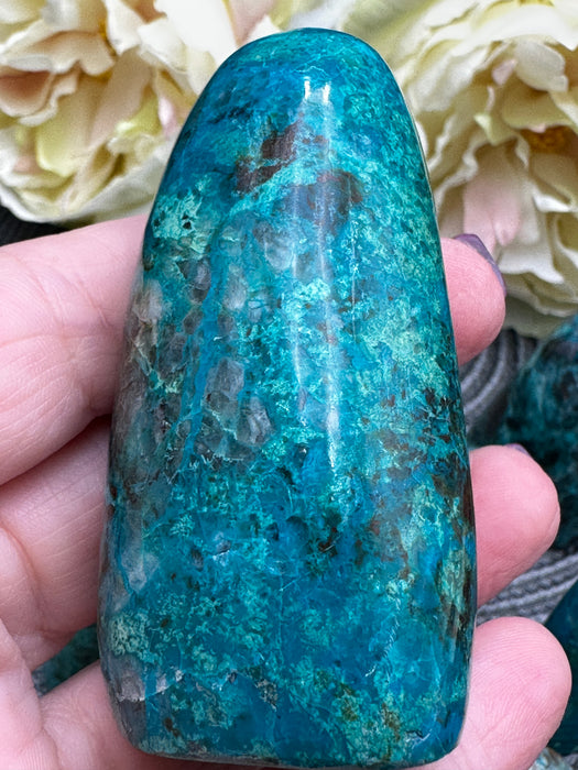 Chrysocolla Standing Freeforms - Various Options