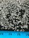 Herkimer Diamond from New York - tiny 5gm bag crystal specimens 