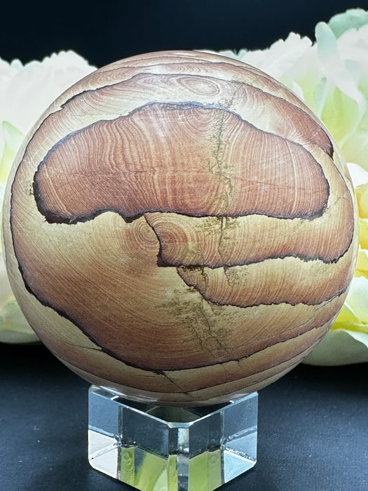 Arizona Picture Sandstone Sphere