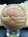 Arizona Picture Sandstone Sphere