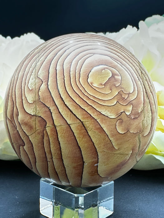 Arizona Picture Sandstone Sphere