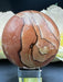 Arizona Picture Sandstone Sphere