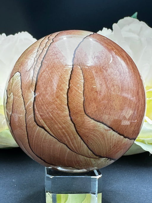Arizona Picture Sandstone Sphere