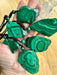Malachite Crystal Jewellery Necklace Pendant