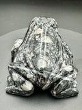 Picasso Jasper Frog Crystal 