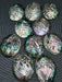 Mini Polished Abalone Paua Shells