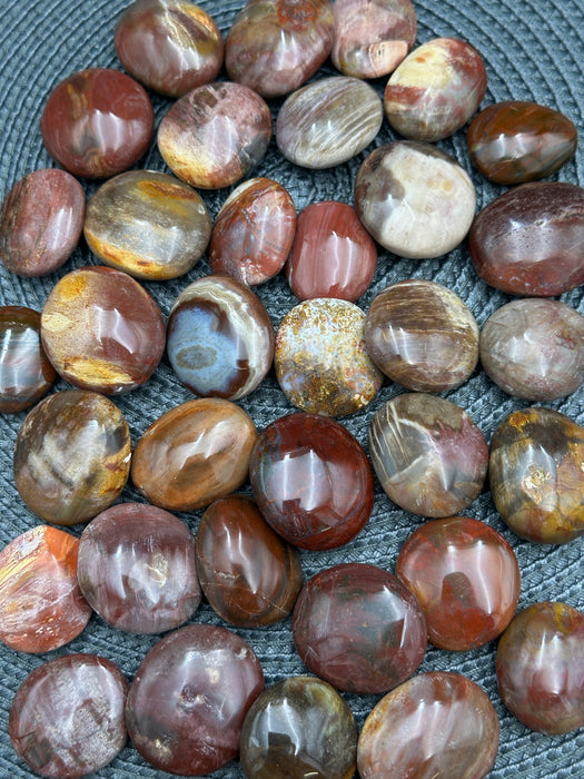 Petrified Wood Mini Palm Stone