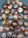 Petrified Wood Mini Palm Stone