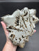 Picture Jasper Leaf Shaped Plate Carving