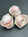 Pink Queen Conch Shell