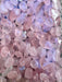 Rose Quartz Crystal Chips