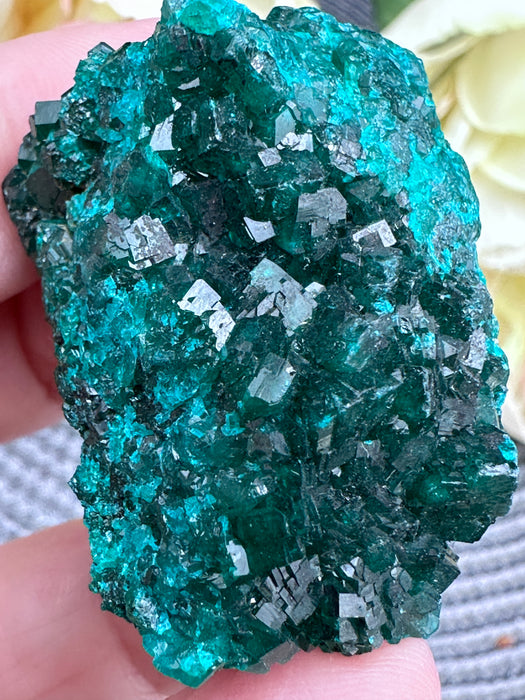 Sparkling Green Dioptase Raw Crystal Specimen
