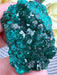Sparkling Green Dioptase Raw Crystal Specimen
