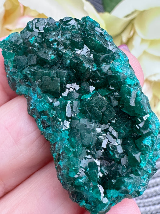Sparkling Raw Dioptase Crystal Specimen